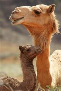 Mama and Baby Camel Portrait Journal