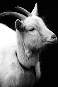 Goat Keeping