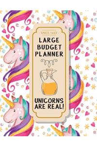 Large Budget Planner: Unicorn Design: Budget Planner (Included Yearly Tracker Review) 8.5*11 Inches
