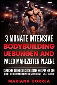 3 MONATE INTENSIVE BODYBUILDING UEBUNGEN Und PALEO MAHLZEITEN PLAENE