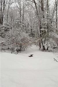 Journal Scenic Winter Weather Woodlands