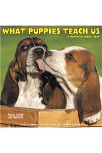 What Puppies Teach Us 2020 Wall Calendar
