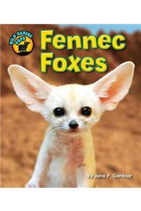 Fennec Foxes