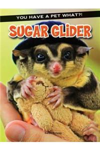 Sugar Glider