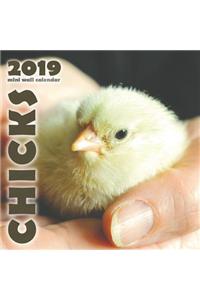 Chicks 2019 Mini Wall Calendar