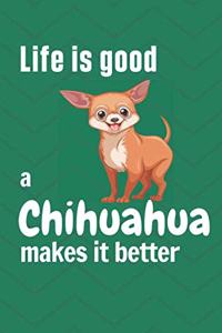 Life is good a Chihuahua makes it better