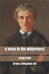 A Voice in the Wilderness