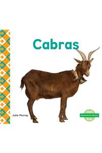 Cabras (Goats) (Spanish Version)