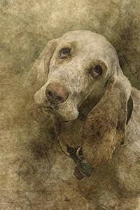 Basset Hound Journal