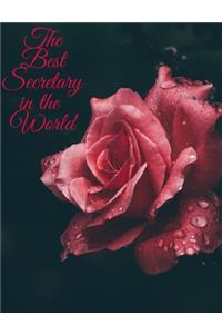 The Best Secretary In The World