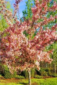 2020 Weekly Planner Pretty Spring Flowering Tree 134 Pages
