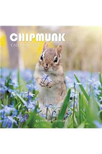 Chipmunk Calendar 2019