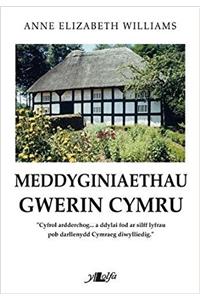 Meddyginiaethau Gwerin Cymru