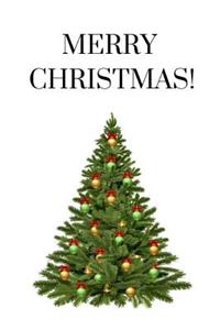 Merry Christmas!