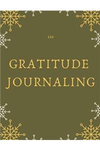 120 Gratitude Journaling