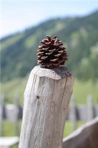 Pine Cone on a Fence Post in the Alps Journal