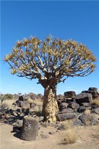 Cool Quiver Tree Journal