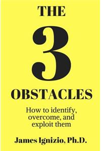 3 Obstacles