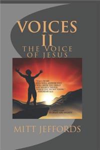 voices 2