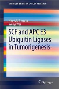 Scf and Apc E3 Ubiquitin Ligases in Tumorigenesis