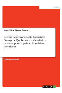 Retour des combattants terroristes étrangers. Quels enjeux sécuritaires existent pour la paix et la stabilité mondiale?
