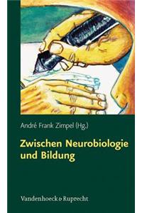 Zwischen Neurobiologie und Bildung