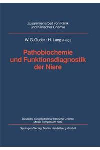 Pathobiochemie Und Funktionsdiagnostik Der Niere: Deutsche Gesellschaft Für Klinische Chemie Merck-Symposium 1989