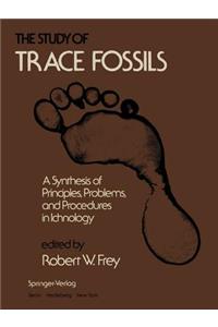 Study of Trace Fossils