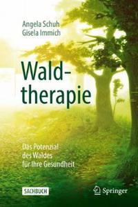 Waldtherapie - Das Potential Des Waldes Für Ihre Gesundheit