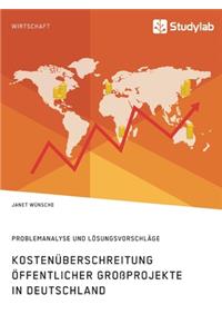 Kostenüberschreitung öffentlicher Großprojekte in Deutschland. Problemanalyse und Lösungsvorschläge