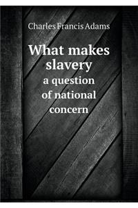 What makes slavery a question of national concern