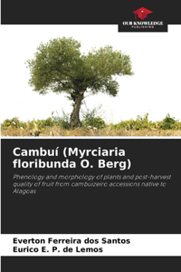 Cambuí (Myrciaria floribunda O. Berg)