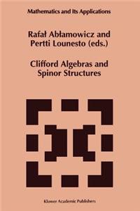 Clifford Algebras and Spinor Structures