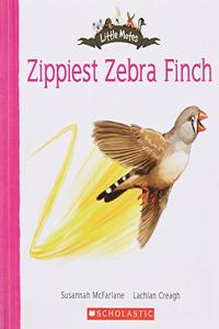 LITTLE MATES: ZIPPY ZEBRA FINCH