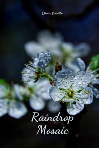 Raindrop Mosaic