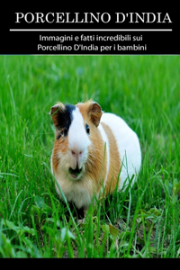 Porcellino D'India
