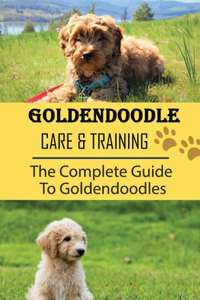 Goldendoodle Care & Training