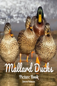 Mallard Ducks Picture Book
