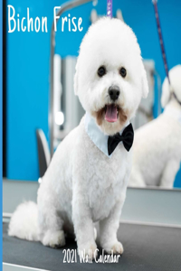 Bichon Frise 2021 Wall Calendar