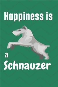 Happiness is a Schnauzer