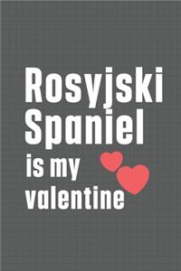 Rosyjski Spaniel is my valentine