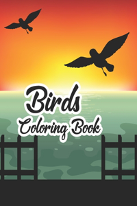 Birds Coloring Book
