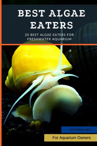 Best Algae Eaters