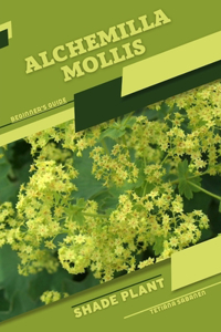 Alchemilla mollis
