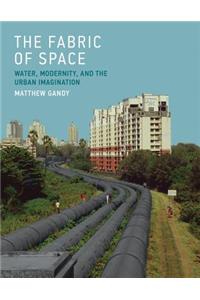 The Fabric of Space