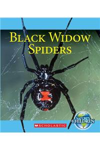 Black Widow Spiders