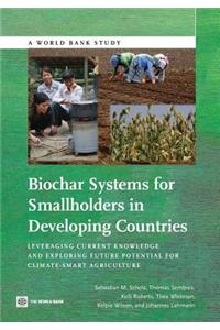 Biochar Systems for Smallholders in Developing Countries