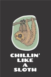 Chillin' Like A Sloth