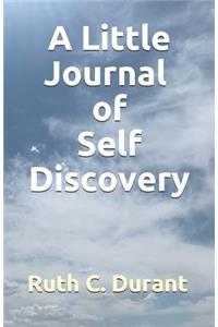 A Little Journal of Self Discovery
