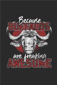 Because Buffalos Are Freaking Awesome